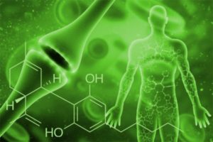 CBD Chemical Compound