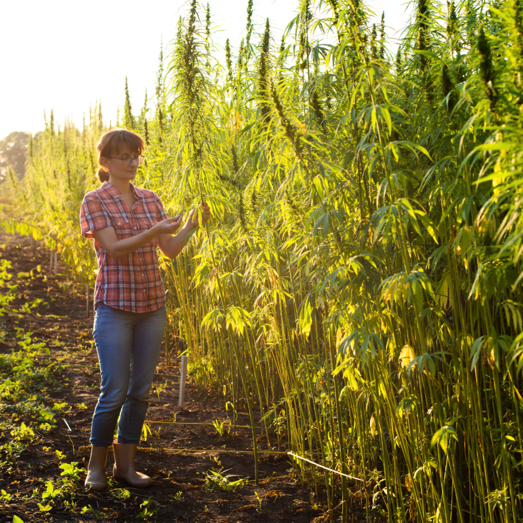 Hemp Farmer